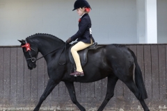 Mia-Bella-long-Horse_Pony-Hightopps-hunny-bunny