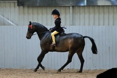 Ottilie-Stewart-Horse_Pony-Ravara-Mr-Tod