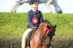 Stephanie-Fleming-Horse_Pony-Whiteleaze-Secret-Temptation