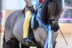 Alfie Diaper and Damerham Briar Lilly