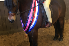 Maisie Chester and Coppinshill Chaos