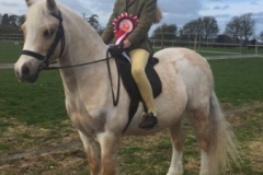Amelia Hadley and Waxwing Panama