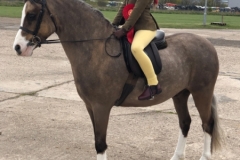 Maisie Mountain and Kered Stormchaser