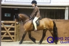 Oliver Snow and Springwater Stop the Music