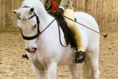 Olivia Gale and Pinewell Miranda