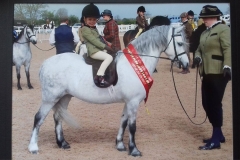 Aston potter-firth riding Heniarth