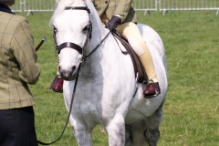 Ava Grace Trott and Delami Figaro