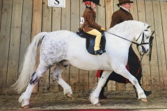 Evie Walker and Firle Red Kite