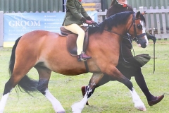 Lily Williams and Friars Red Wings