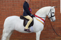 Oldacres lilli and Oscar Fenton