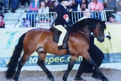 Springwater Stop the Music and Oliver Snow