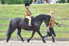 William Parkin and Newoak Gold Edition