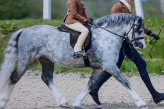 Freyja rafferty and Crumpwell chandler