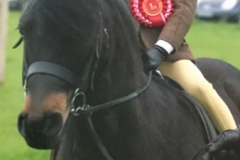 Jemima Jewson and Hisley Carnival