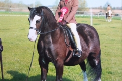 Toby Johnstone and Waitwith dekota mist