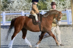 Florence-Milczarek-and-Clearfell-Bumble-Bee