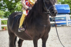 Maya-Bakshi-and-Stepley-Taurus