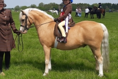 Millie-Rackham-Cobb-and-Waitwith-wood-sorrell