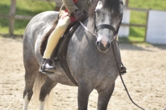 Jacks-johnson-and-Gethiniog-tequila-sunrise