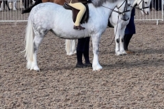 Amy-may-ridgett-and-Uphill-Megan-Fox