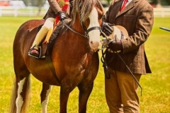 Florence-Milczarek-and-Clearfell-Bumblebee