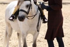 Freddie-Purnell-and-Drenrow-Euphoric