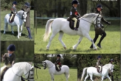 Harry-Aldred-and-Rowfantina-With-Grace