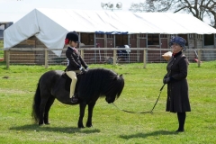 Dottie-Bretherton-Horse_Pony-Laureen-VD-Baarleseweg-