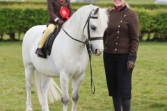 Lydia-Williams-Horse_Pony-Penech-touch-of-class