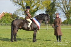 Maisie-Mills-Horse_Pony-Treworgan-Sealord