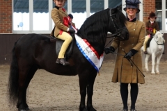 Oliver-Urwin-Horse_Pony-Newoak-Kingsman