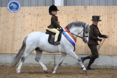 Penelope-Rae-Dale-Horse_Pony-Thistledown-The-Special-one