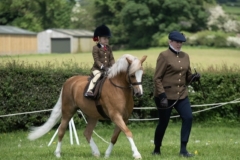 Poppy-Page-Horse_Pony-Friars-Golddust