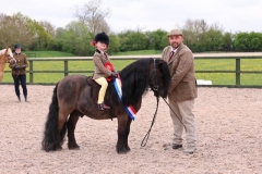 Queenie-Follows-Horse_Pony-Ladbury-Pretender