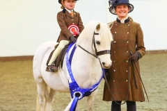 Ruby-Croasdale-Horse_Pony-Thistledown-Highlight