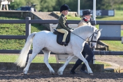 Ted-Daffurn-Price-Horse_Pony-Thistledown-White-Cloud