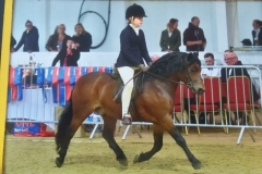 Oliver-Snow-and-Springwater-Stop-the-Music