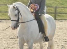 Bluebell-Beechey-and-Crumpwell-Finella