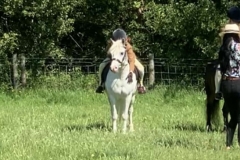 Brogan-Douglas-jones-and-Tanfanaris-judgement-day