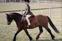 Darcey-Victor-and-Langfield-Archimedes