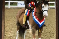 Holly-Dilks-aged-11-and-Rookery-Boomerang