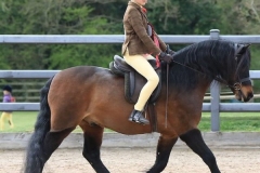 Toby-Johnstone-and-Pumphill-fandango-