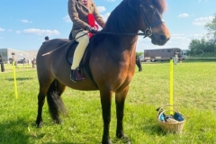 Amelia-Grace-Bradley-and-Rushfield-Courvoisier Amelia-Grace-Bradley-and-Rushfield-Courvoisier