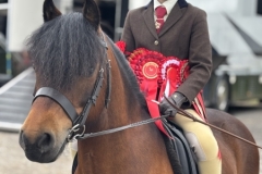 Ava-Holland-Horse_Pony-Pumphill-Gandalf-