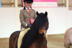 Brooklyn-oshea-Horse_Pony-Cayberry-coco-Chanel