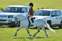 Emily-Rose-Odonnell-Horse_Pony-Newoak-Bamalan