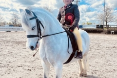 Enzo-Rocca-Houlihan-Horse_Pony-Proclins-Prince-Charming