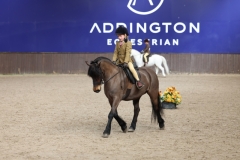 Frankie-Williams-Horse_Pony-Merribridge-Star-Flyer