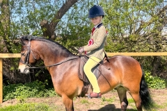 Isla-Thornton-Horse_Pony-Shilstone-Rocks-St-Merryn