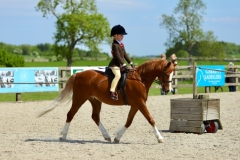 Lilly-benton-Horse_Pony-Rosedust-class-act